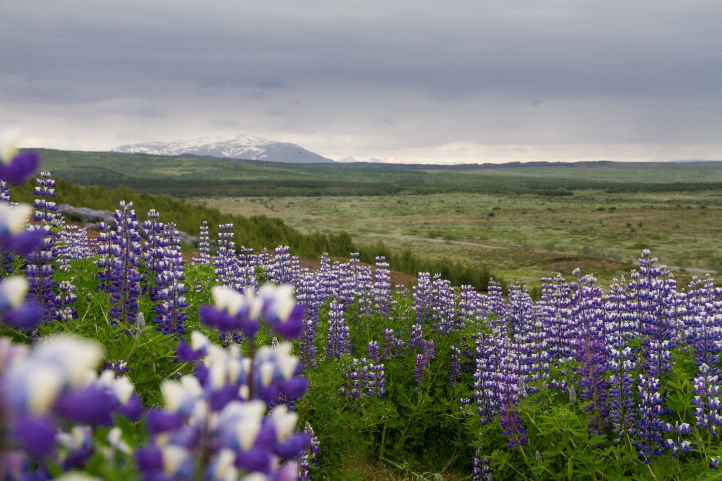 The Places We Wish To Go… Iceland