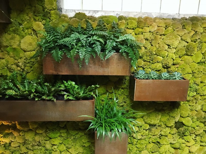 Alchemilla Restaurant Review - Nottingham