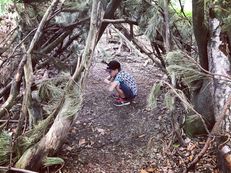 Sherwood Pines - Nottinghamshire